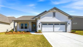 New construction Single-Family house 171 Cresswind Blvd, Newnan, GA 30263 plan Emily - image