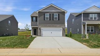 New construction Single-Family house 240 Chimney View Lp, Blountville, TN 37617 plan Elston - image