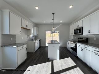 New construction Single-Family house 532 Springtooth Dr, Zebulon, NC 27597 - image