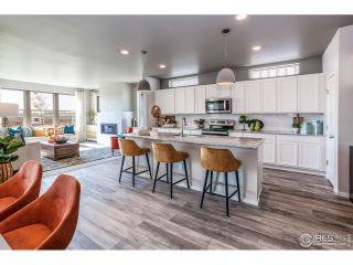 New construction Single-Family house 844 Trumpet Ct, Windsor, CO 80550 plan Rowling - image