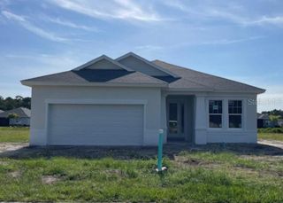 New construction Single-Family house 250 Hawthorn Ave, Palm Coast, FL 32164 - image