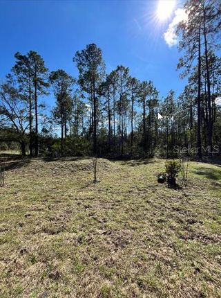 New construction  house 4415 Olga St, Hastings, FL 32145 plan Palm - image