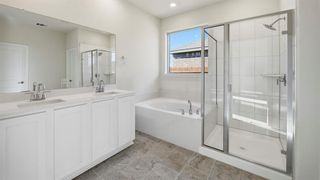 New construction Single-Family house 2116 Eugene St, Anna, TX 75409 plan Echelon - image