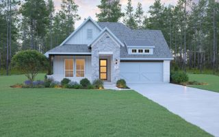 New construction Single-Family house 161 Peninsula Point Dr, Montgomery, TX 77356 plan The Denali - image