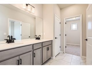 New construction Single-Family house 1814 Carnoustie Dr, Fort Collins, CO 80524 plan Antero - image