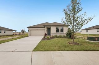 New construction Single-Family house 10155 Hidden Hammock Lp, Parrish, FL 34219 plan Douglas - image