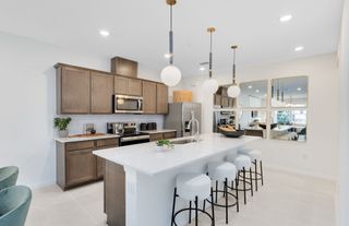 New construction Single-Family house 11555 Harborview St, Orlando, FL 32832 plan Dahlia - image