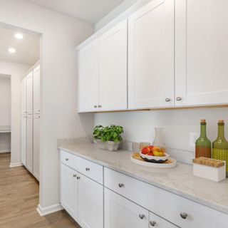 New construction house 1006 Lettered Olive Ln, Summerville, SC 29485 plan JASPER - image