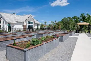 New construction Single-Family house 7009 Depue Dr, Wesley Chapel, FL 33545 plan Scarlett - image