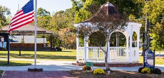 New construction Single-Family house 1149 Days End Pl, Wendell, NC 27591 plan Stella - image