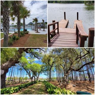 New construction  house 179 Threaded Fern St, Summerville, SC 29485 plan Henninger - image