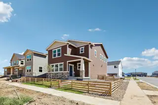 New construction Single-Family house 973 Rusty Blackbird Ln, Fort Collins, CO 80524 plan Torrey Pine - image