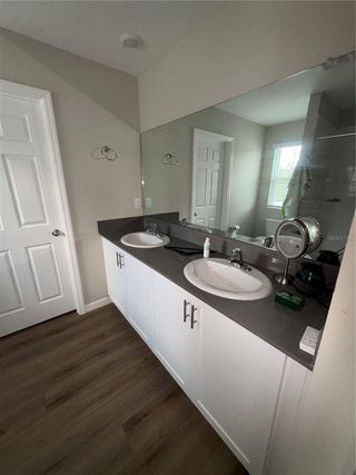 New construction Single-Family house 11484 Brook Edge Ave, Riverview, FL 33569 plan Azure - image