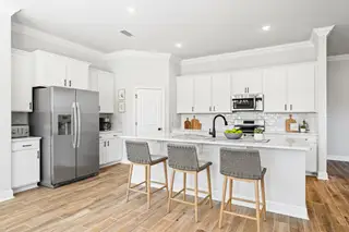 New construction house 50 Pollywog Pl, Freeport, FL 32439 plan Crosby III H - image