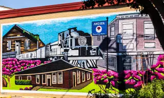 New construction Townhouse house 13 Silver Pine Dr, Angier, NC 27501 plan Aurora - image