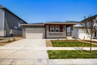 New construction Single-Family house 1814 Baltusrol Dr, Fort Collins, CO 80524 plan Newport - image
