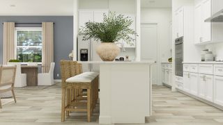 New construction Single-Family house 31568 Cardinal Yard Dr, San Antonio, FL 33576 plan Argent II - image