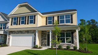 New construction Single-Family house 222 Palfrey Dr, Ridgeville, SC 29472 plan Wilmington - image