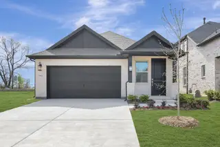 New construction Single-Family house 806 Sagebrush Trl, Sherman, TX 75092 plan Blueberry Ash - image