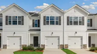 New construction Single-Family house 249 Otter Lodge St, Sanford, NC 27330 plan Newton - image