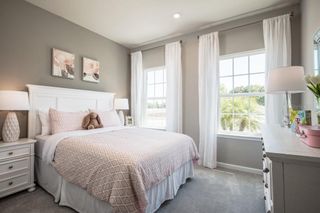 New construction Single-Family house 2220 Scenic Park Lp, Wimauma, FL 33598 plan Panama - image