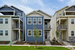 New construction Single-Family house 3041 Curly Grove, Colorado Springs, CO 80922 plan Clover - image