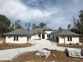 New construction Single-Family house 16989 Lucca Ln, Montverde, FL 34756 - image