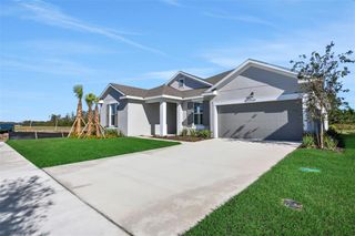 New construction Single-Family house 17397 Crisp Apple Ln, Land O' Lakes, FL 34638 plan Arlington - image