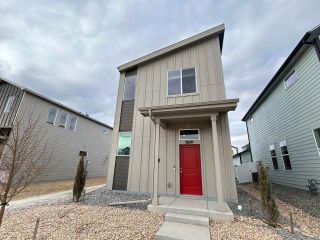 New construction Single-Family house 3849 Kenai St, Evans, CO 80620 plan Telluride - image