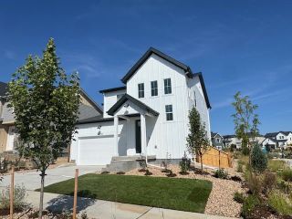 New construction Single-Family house 16537 W 92Nd Pl, Arvada, CO 80007 plan Buena Vista - image