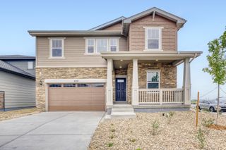 New construction Single-Family house 6158 Drum Pl, Loveland, CO 80538 plan Marigold - image