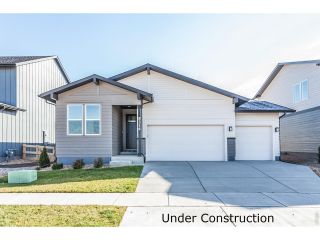 New construction Single-Family house 5473 Drehle St, Timnath, CO 80547 - image
