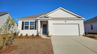 New construction Single-Family house 148 Cottage Red Ct, Conway, SC 29527 plan Aria - image