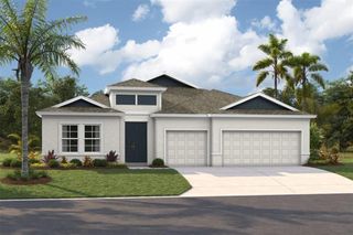 New construction Single-Family house 5237 Wolf Creek Dr, Apollo Beach, FL 33572 - image