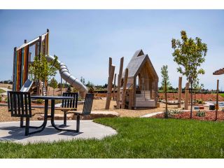 New construction Single-Family house 754 Trumpet Ct, Windsor, CO 80550 - image