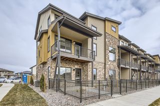 New construction Single-Family house 857 Birdwhistle Lane, Unit 5, Fort Collins, CO 80524 Avery- photo