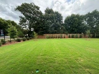 New construction  house 101 Haverling Pass, Hampton, GA 30228 plan Rosemary II - image