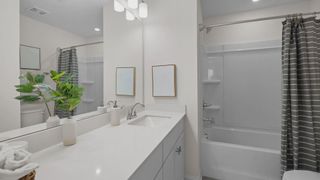 New construction Townhouse house 2966 Clyde Dr, Charlotte, NC 28208 plan Rochester - image