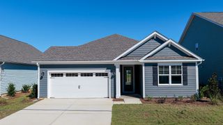 New construction Single-Family house 3212 Butterfly Ginger St, Leland, NC 28451 plan Litchfield - image