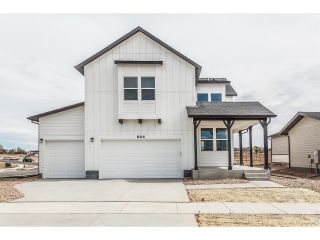 New construction Single-Family house 804 Chatter Rd, Windsor, CO 80550 plan Twain - image