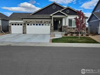 New construction Single-Family house 1851 Lazear St, Loveland, CO 80538 - photo