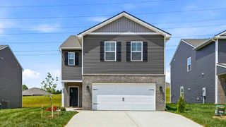 New construction Single-Family house 240 Chimney View Lp, Blountville, TN 37617 plan Elston - image