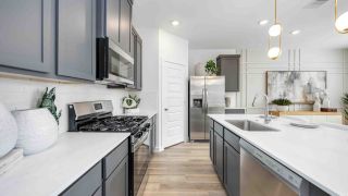 New construction Single-Family house 947 Mansfield St, Houston, TX 77091 plan Gardenia - image