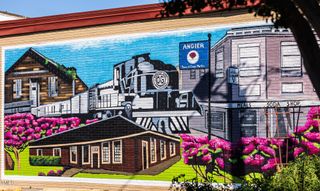 New construction  house 136 Blue Butterfly Dr, Angier, NC 27501 plan Quincy - image