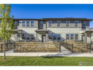 New construction Townhouse house 851 Merganser Dr, Fort Collins, CO 80524 - image