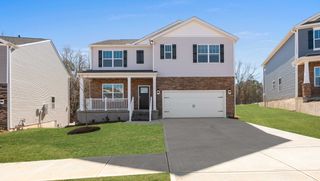 New construction Single-Family house 37 Zoey Dr, Anderson, SC 29621 plan Hayden W Basement - image