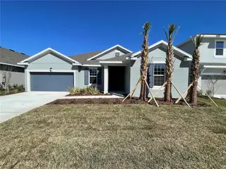 New construction Single-Family house 17441 Valleywood Pkwy, Land O' Lakes, FL 34638 plan Arlington - image