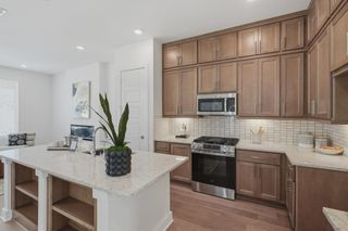 New construction Single-Family house 20675 Huebner Rd, Unit 530, San Antonio, TX 78258 plan Calypso - image