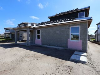 New construction Single-Family house 1734 Suttonset Trl, Zephyrhills, FL 33541 plan Newport II Bonus - image