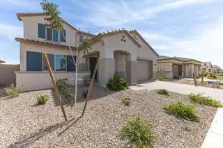 New construction Single-Family house 43499 N Wollemi St, Queen Creek, AZ 85140 plan 4504 - image